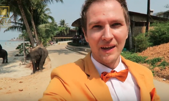 Słonie, Słońce , Plaża, Ciepło, Mili Ludzie, Szkolenia, TAKA PRACA, Cudowna Tajlandia 